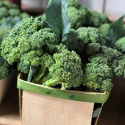 Broccoli