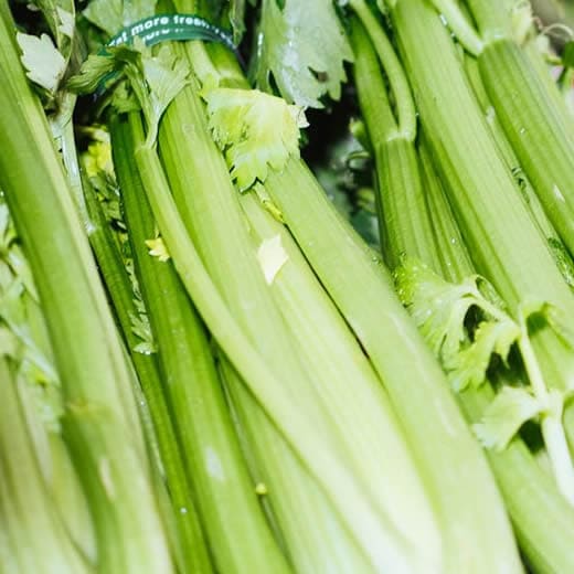 Celery