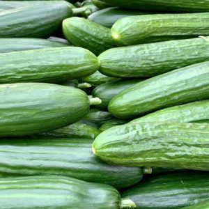 Cucumber