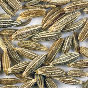 Cumin
