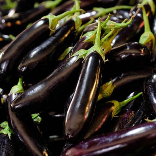 Eggplant