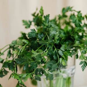 Handful of fresh parsley