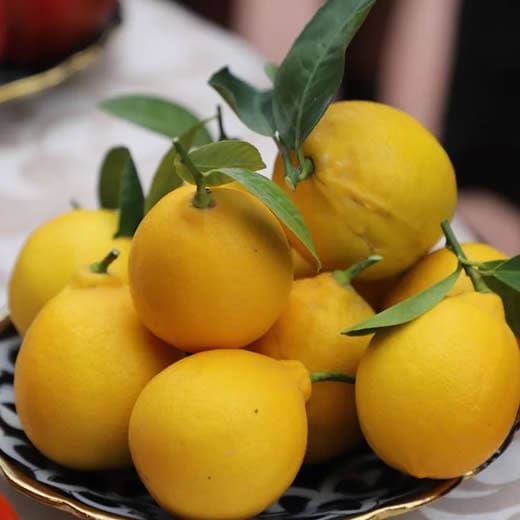 Lemon
