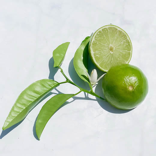 Lime
