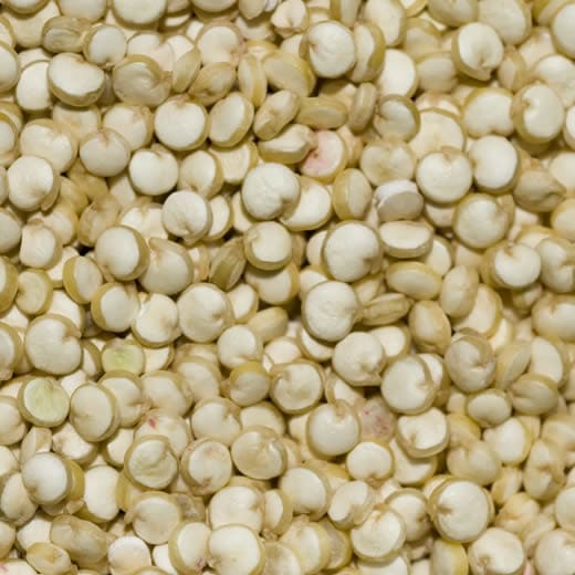 Quinoa