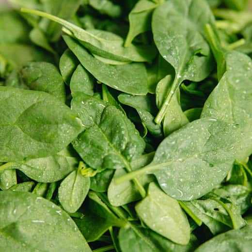 Spinach