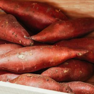 Sweet potato