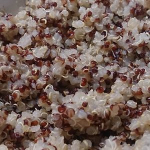 Cooked quinoa