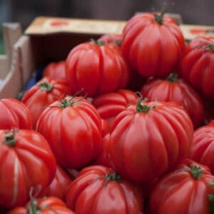 Heirloom tomatoes