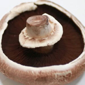 Portobello mushroom